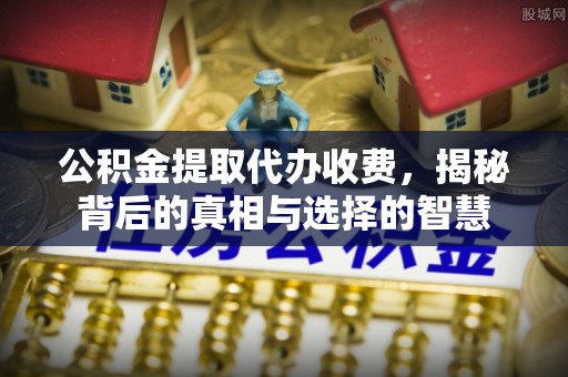 埔盐公积金提取代办收费，揭秘背后的真相与选择的智慧