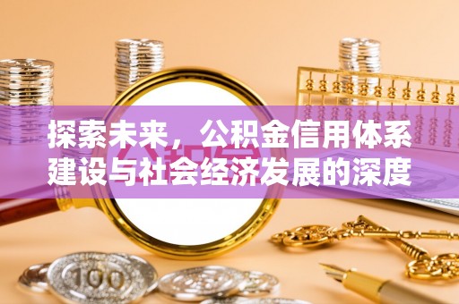 埔盐探索未来，公积金信用体系建设与社会经济发展的深度融合