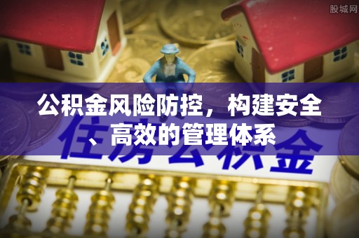 埔盐公积金风险防控，构建安全、高效的管理体系