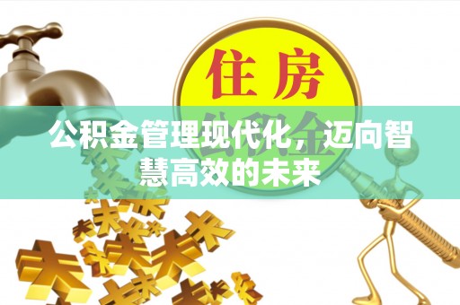 埔盐公积金管理现代化，迈向智慧高效的未来