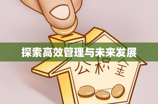 埔盐探索高效管理与未来发展
