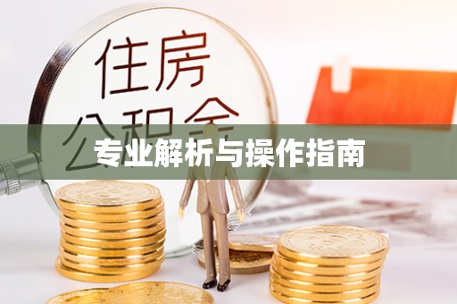 埔盐专业解析与操作指南