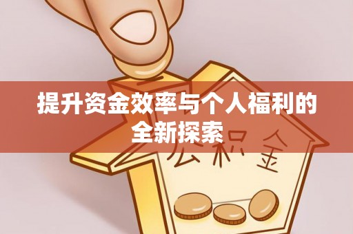埔盐提升资金效率与个人福利的全新探索